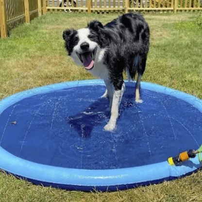 PawSplash | Kühlende Splash-Matte für Hunde