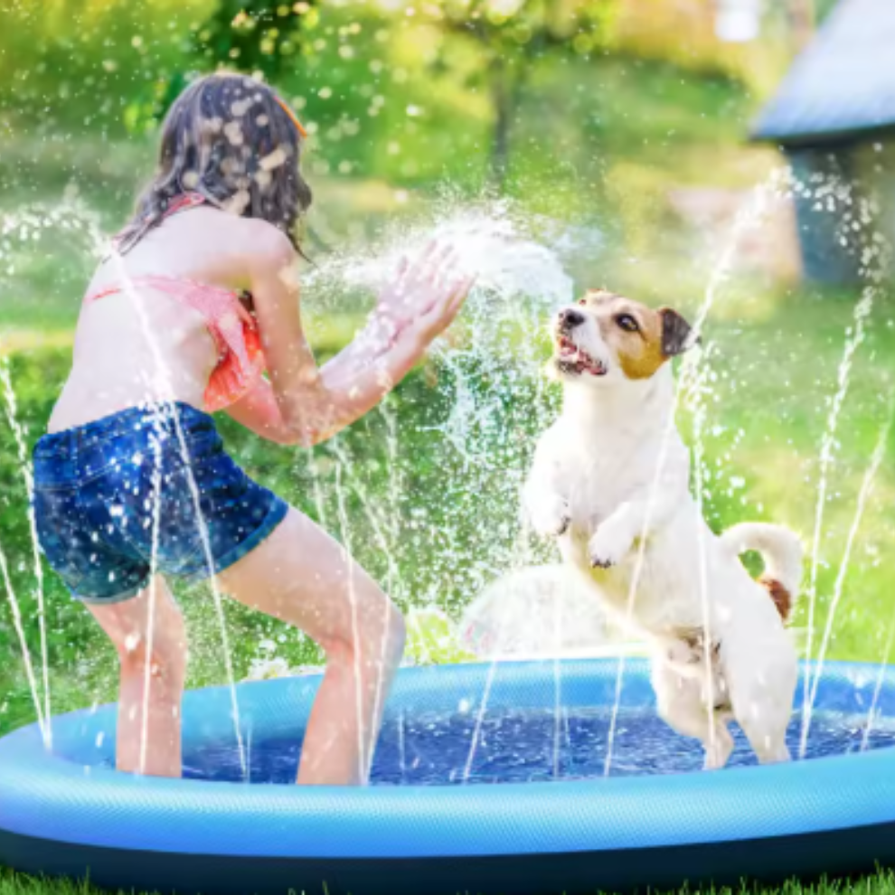 PawSplash | Kühlende Splash-Matte für Hunde