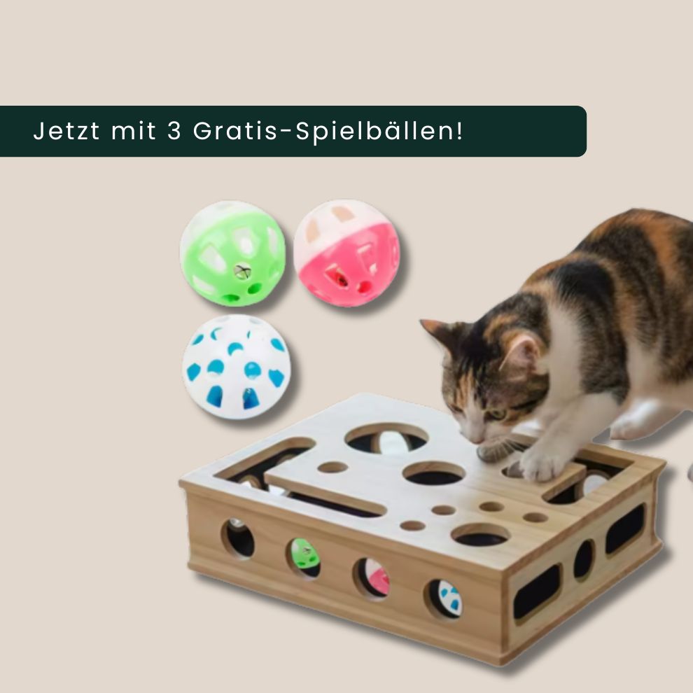 PawScratch | Interaktive Kratz- & Krallenpflegebox für Katzen