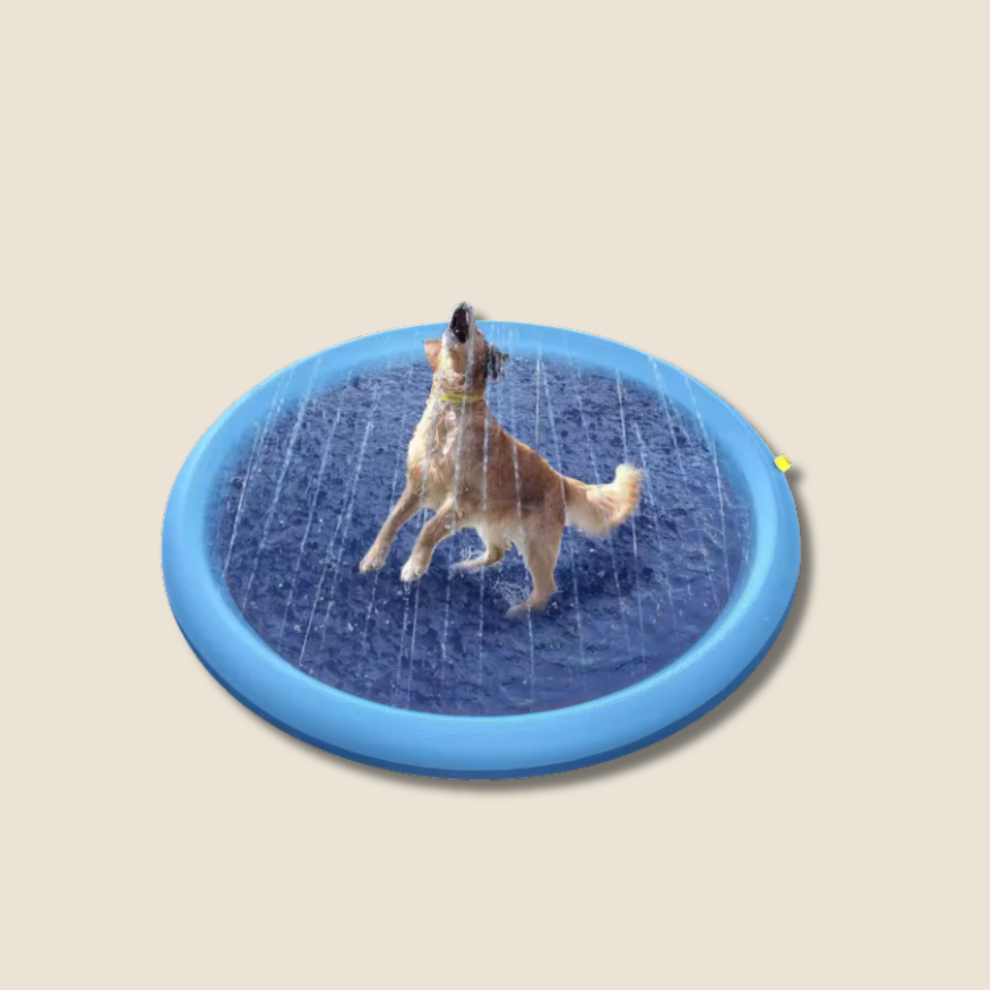 PawSplash | Kühlende Splash-Matte für Hunde