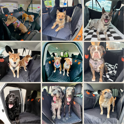 PawRide | Luxuriöse Hundedecke fürs Auto – Nie wieder ein schmutziger Rücksitz durch deinen Hund 🐾