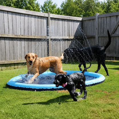 PawSplash | Kühlende Splash-Matte für Hunde