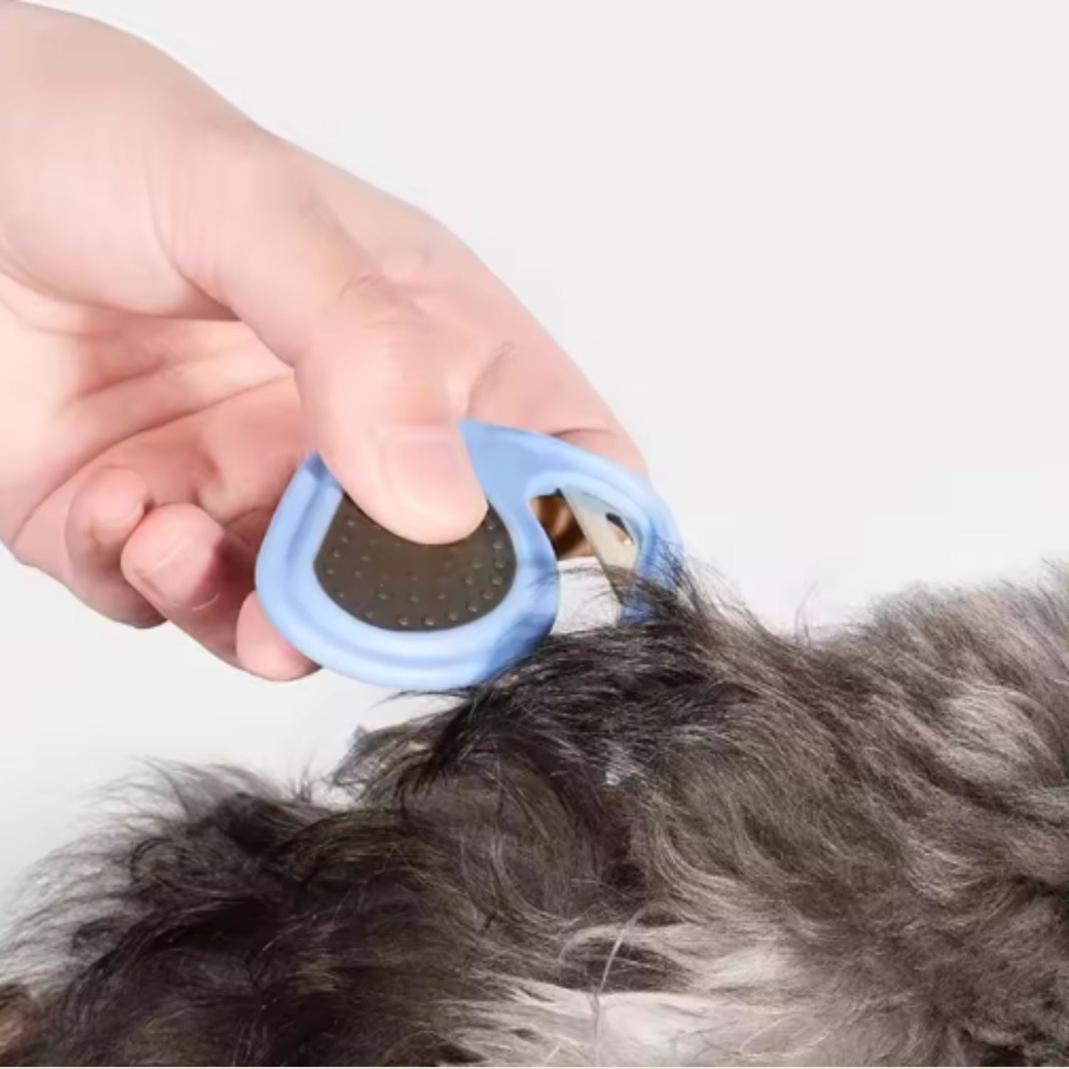 anti klitten kam voor honden en katten geen stress