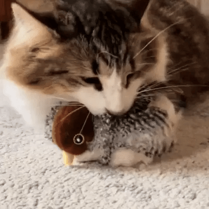 PawFly – Bewegliches Jagdspielzeug für Katzen