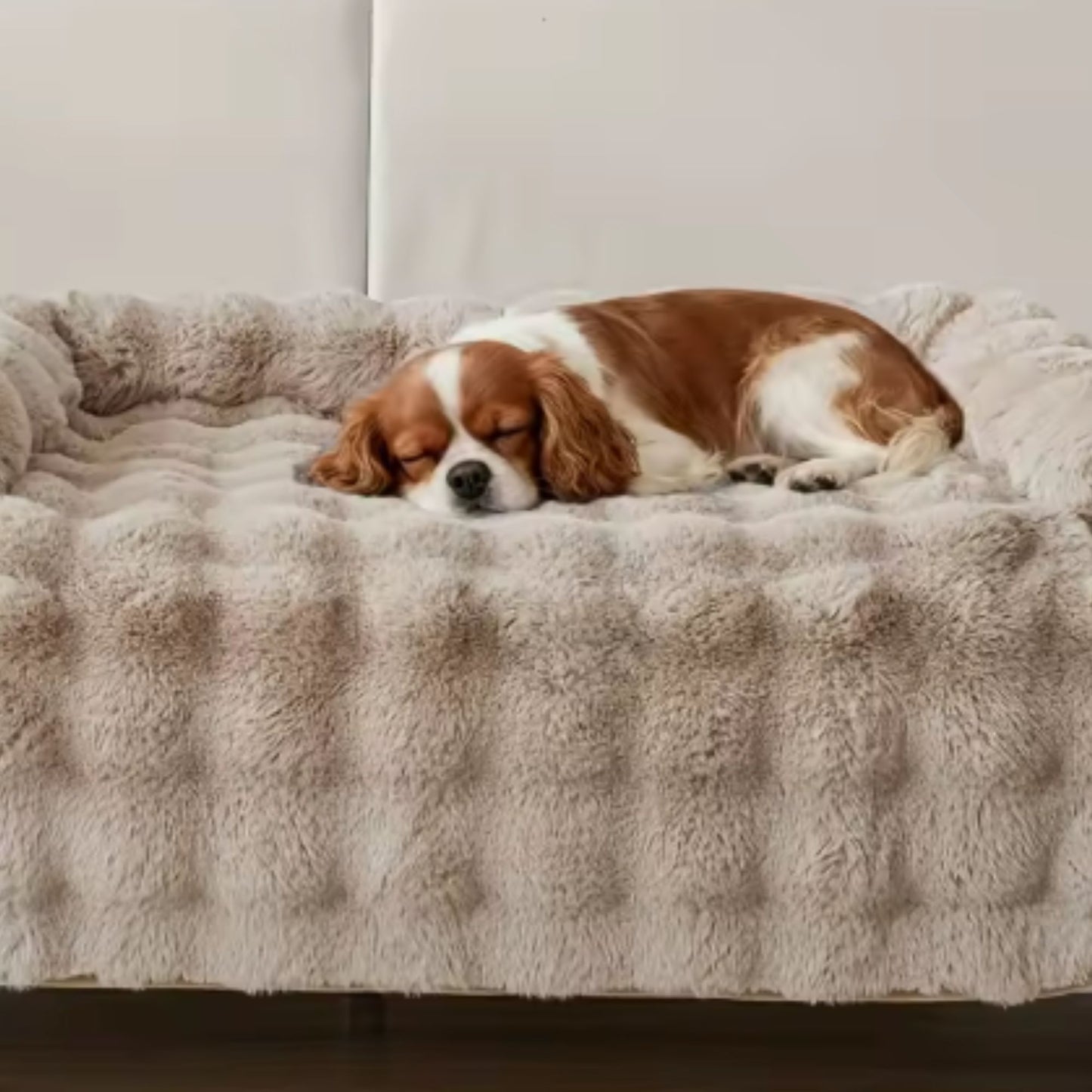 PawLounge Kalmerende Beschermhoes voor bank voor honden en katten beige