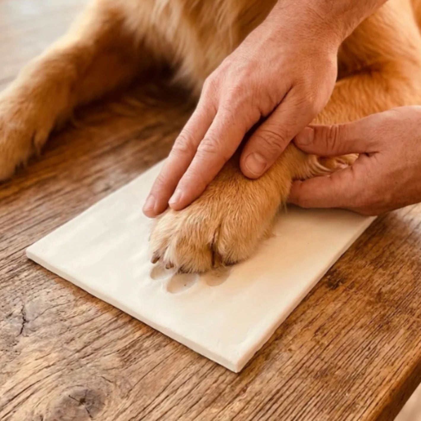 Pootafdruk hond klei indrukken stap voor stap