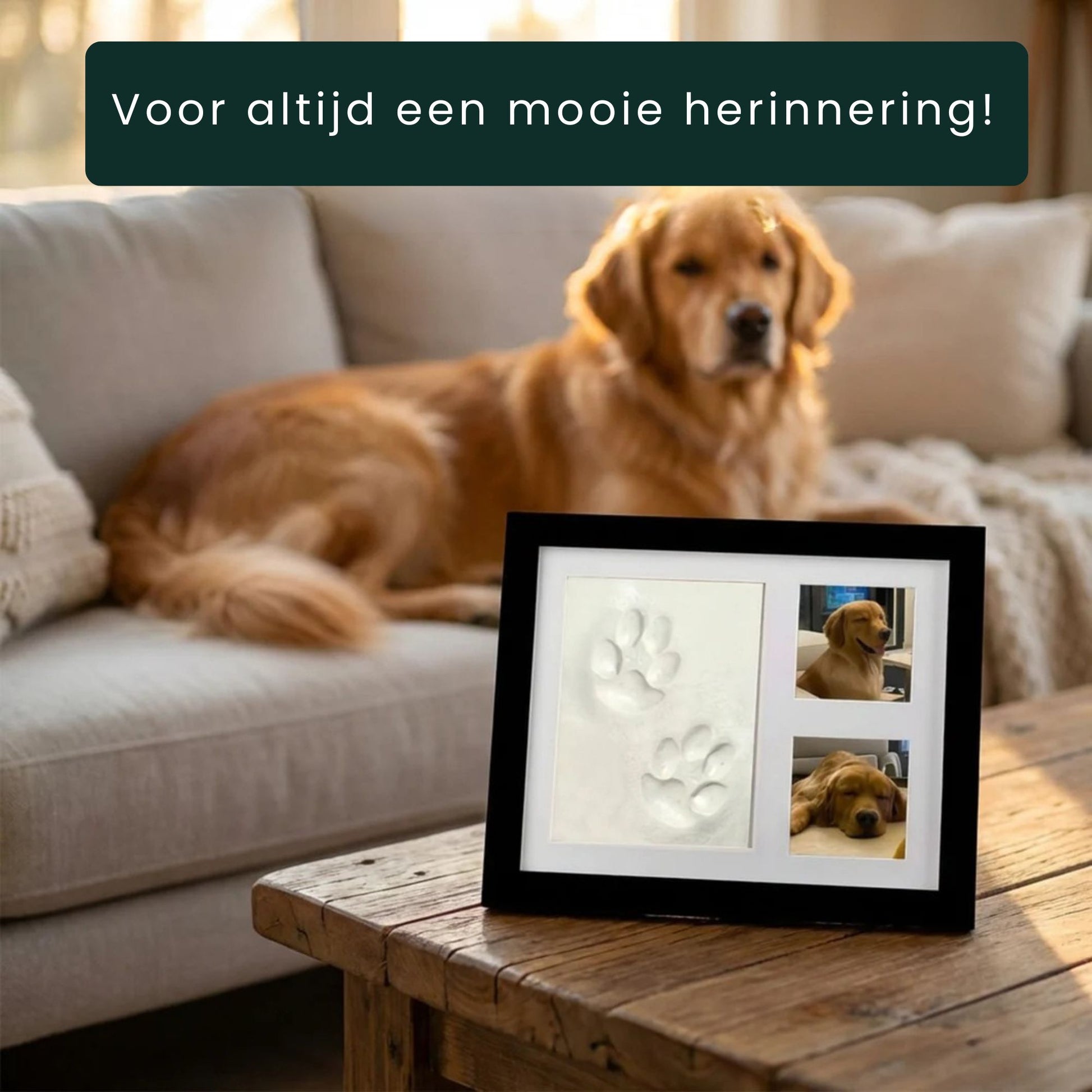 DIY pootafdruk hond klei set met fotoframe