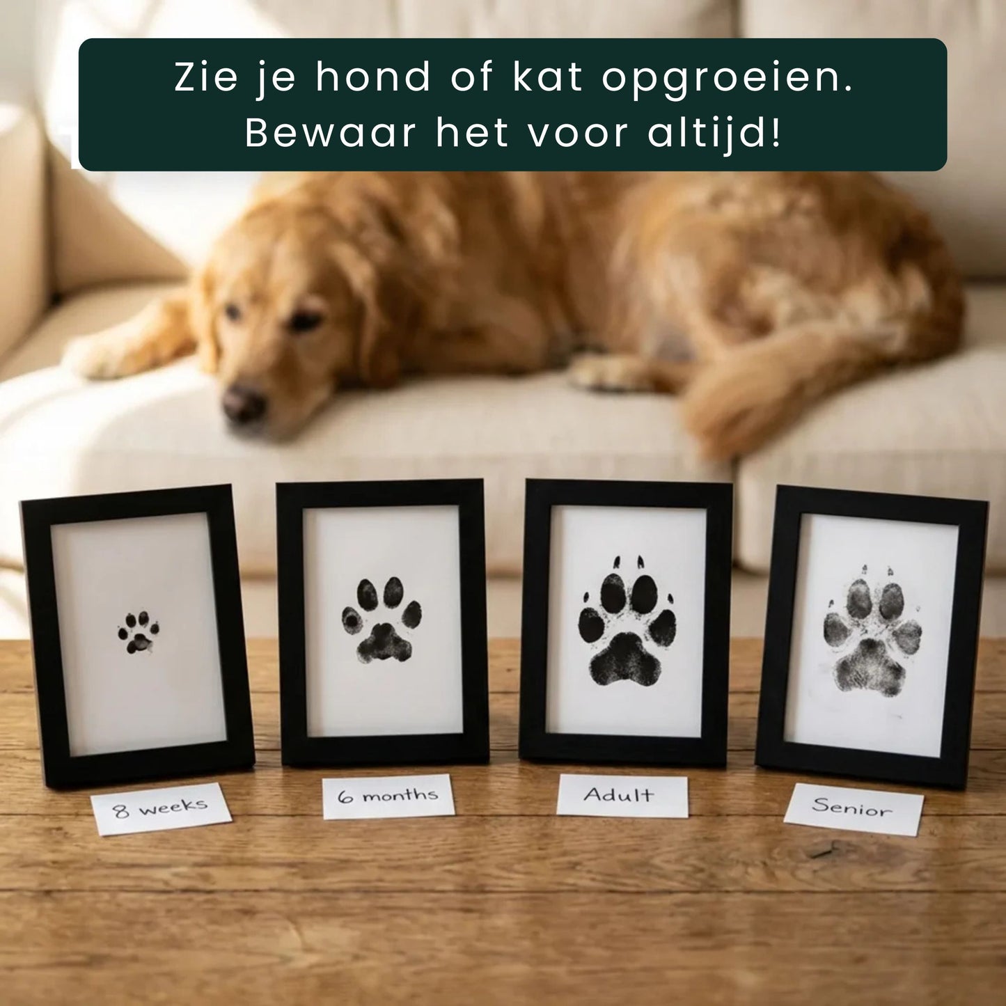 Pootafdruk hond zonder klei met inkt oplossing