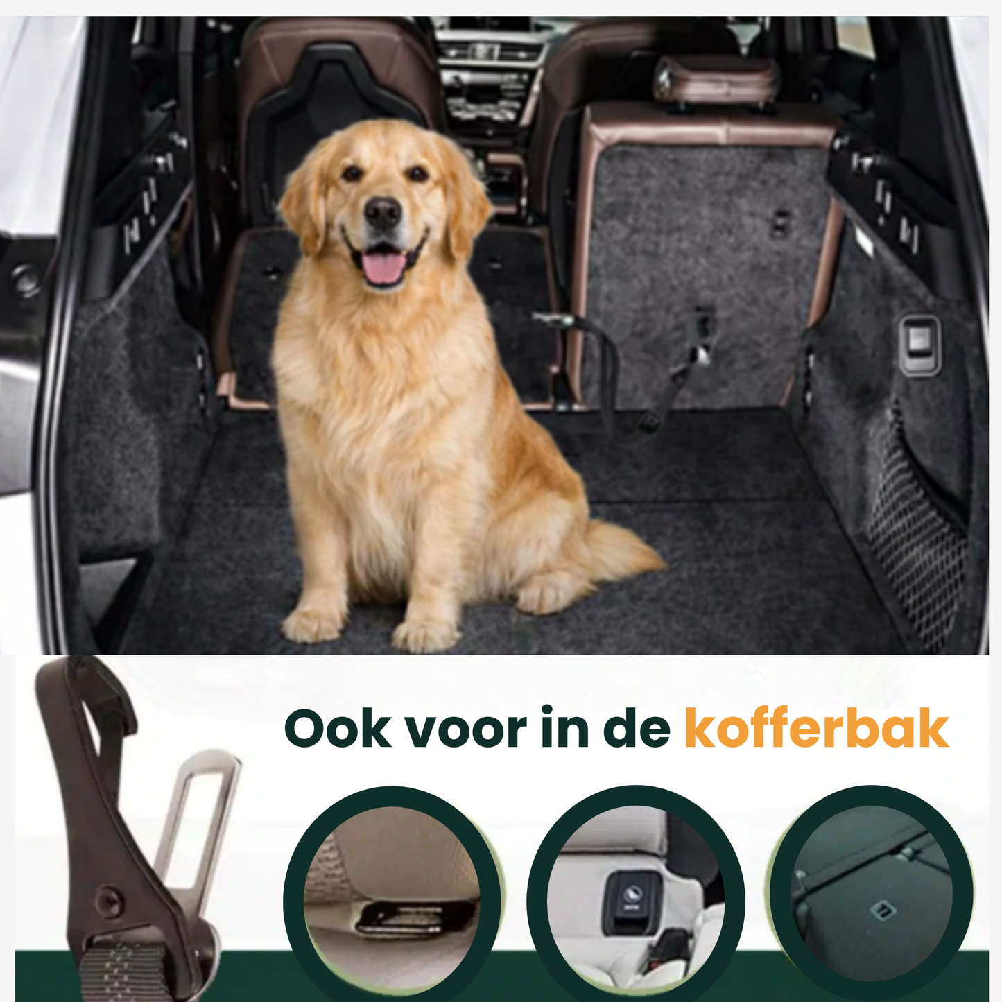 PawSecure autogordel voor hond ook in kofferbak