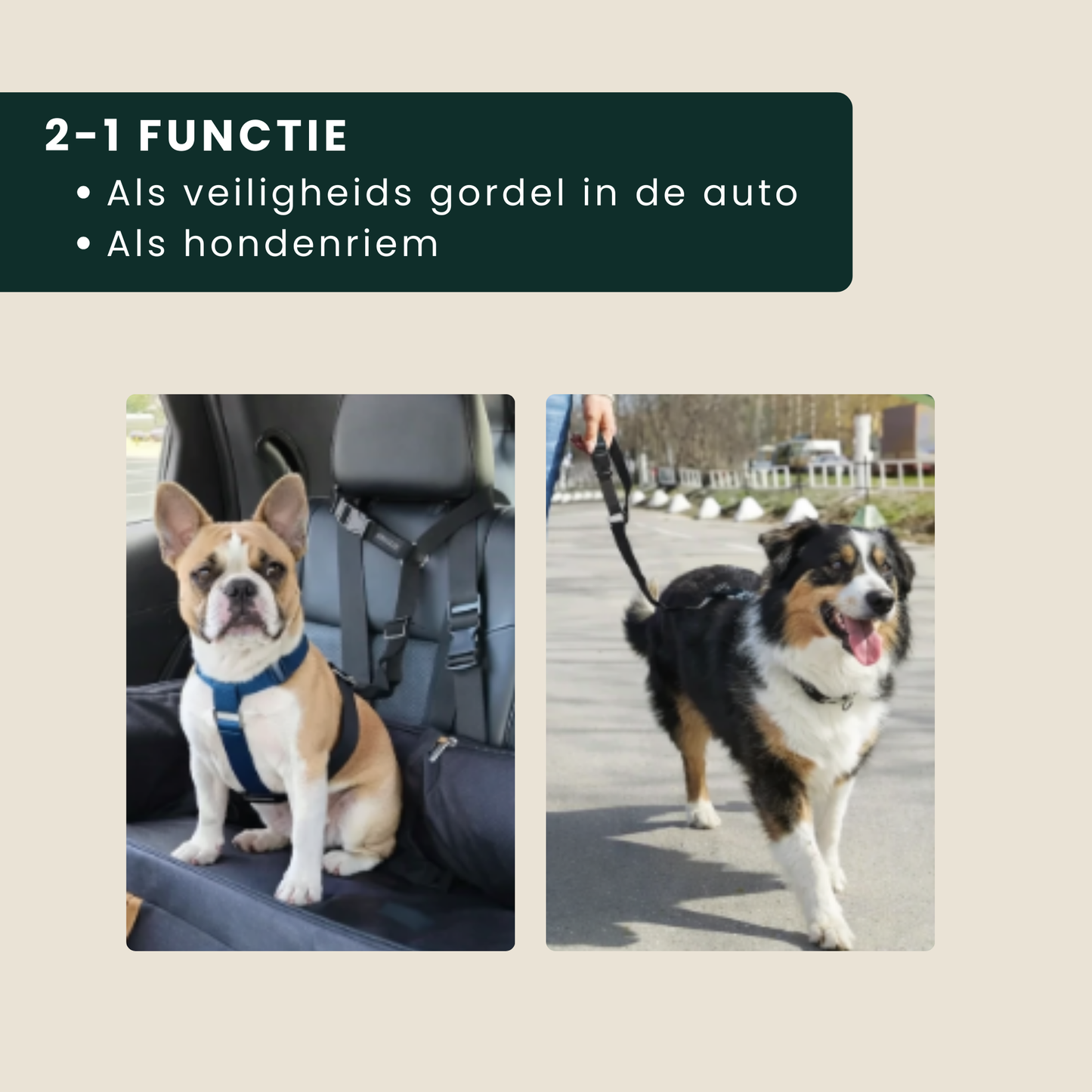 PawSecure Headrest – Sicherheitsgurt für Hunde mit Kopfstützenbefestigung