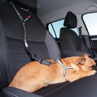 PawSecure Headrest – Sicherheitsgurt für Hunde mit Kopfstützenbefestigung
