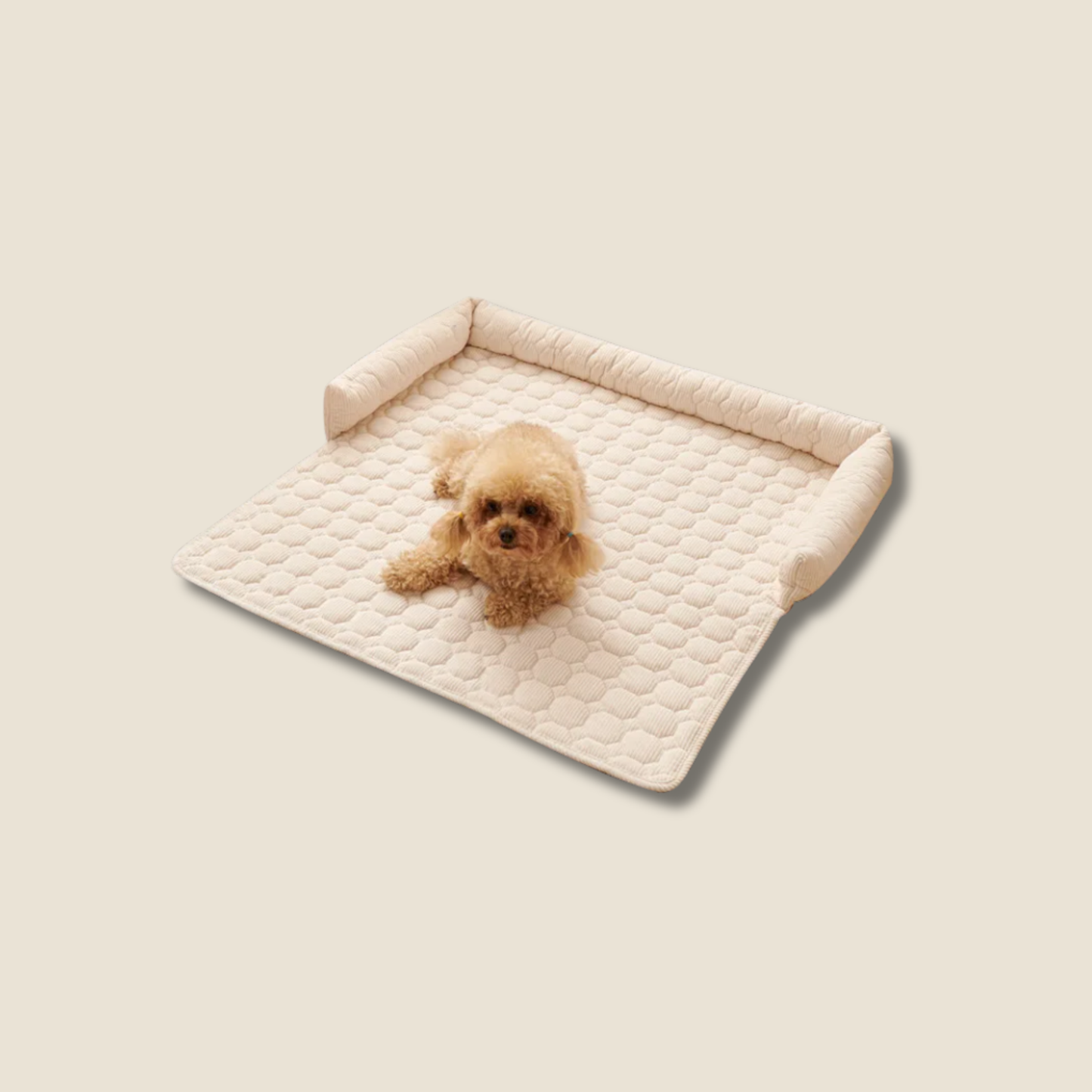 PawShield anti slip bankhoes voor hond