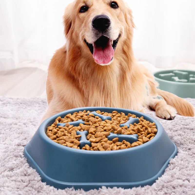 Slow feeder hond kunststof