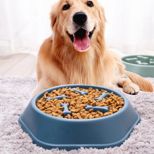 Slow feeder hond kunststof