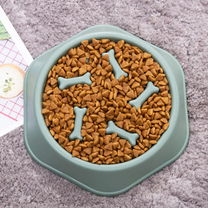 Anti schrok bak voor kat