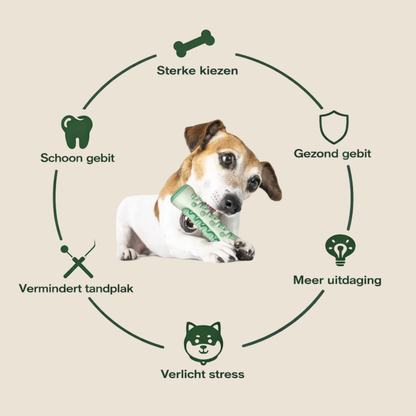 Hondenspeelgoed voor gezonde tanden en tandvlees