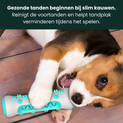 PawTooth | Kauspielzeug zur Zahnreinigung für Hunde - Spielen & Reinigen in 1