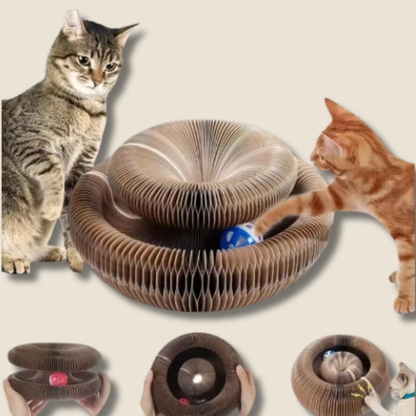 Mentale stimulatie speelgoed voor binnenkat