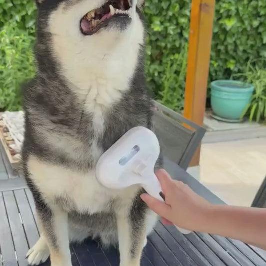 SteamBrush Pro – Professionelle Dampfbürste für Hunde & Katzen