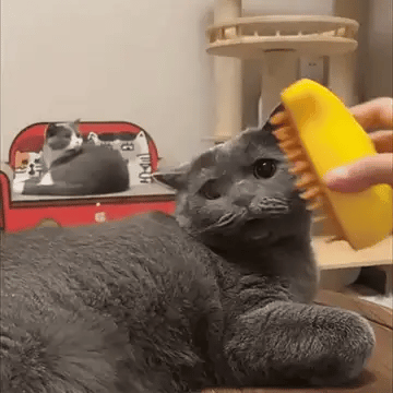 SteamBrush Lite | Kompakte Dampfbürste für Hunde & Katzen