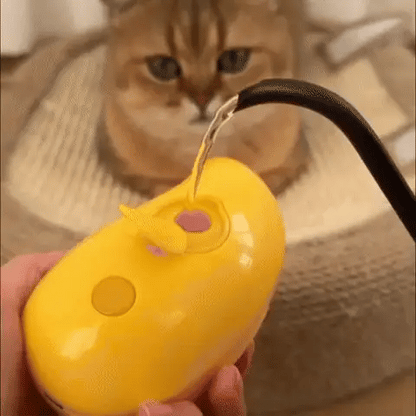 SteamBrush Lite | Kompakte Dampfbürste für Hunde & Katzen